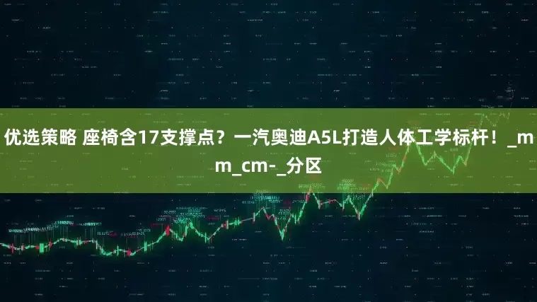 优选策略 座椅含17支撑点？一汽奥迪A5L打造人体工学标杆！_mm_cm-_分区